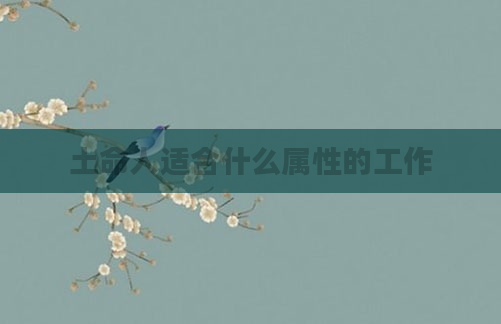 土命人适合什么属性的工作