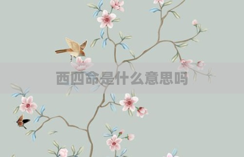 西四命是什么意思吗
