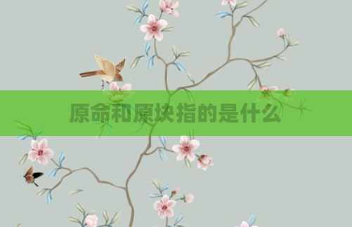 原命和原块指的是什么