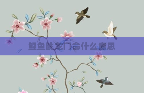 鲤鱼跳龙门命什么意思