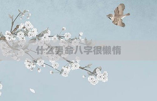 什么男命八字很懒惰