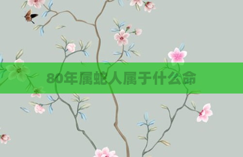 80年属蛇人属于什么命