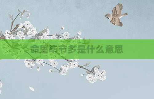 命里毕节多是什么意思