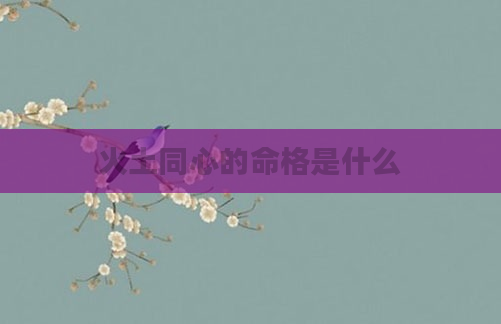 火土同心的命格是什么