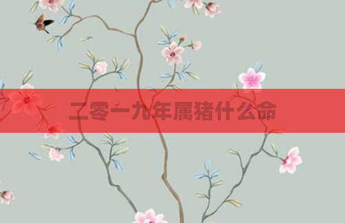 二零一九年属猪什么命