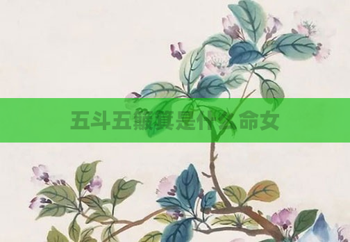 五斗五簸箕是什么命女