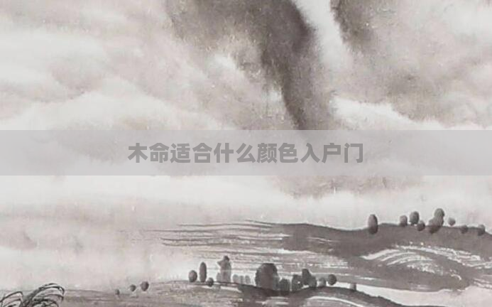 木命适合什么颜色入户门