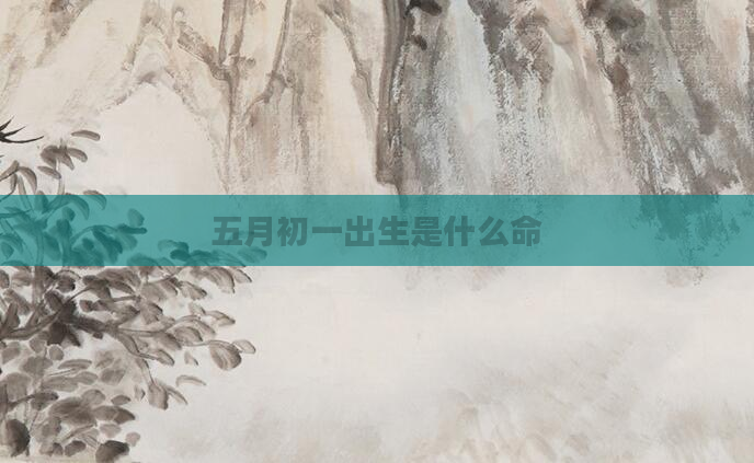五月初一出生是什么命