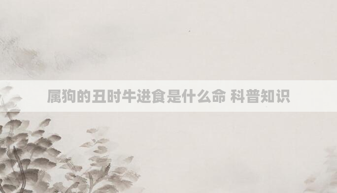 属狗的丑时牛进食是什么命 科普知识