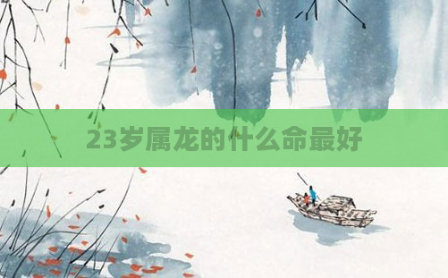 23岁属龙的什么命最好