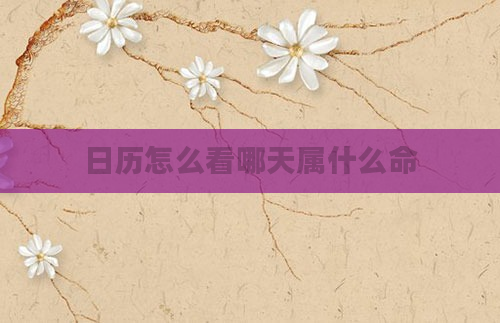 日历怎么看哪天属什么命