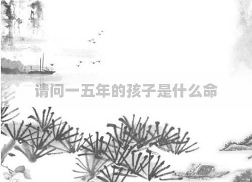 请问一五年的孩子是什么命