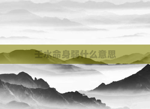 壬水命身弱什么意思