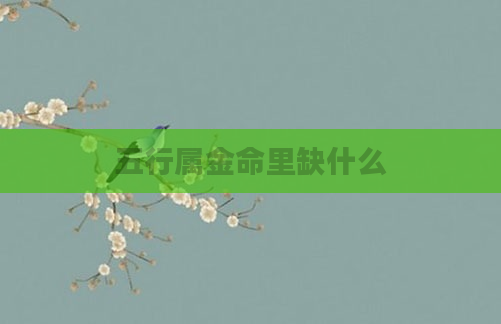 五行属金命里缺什么