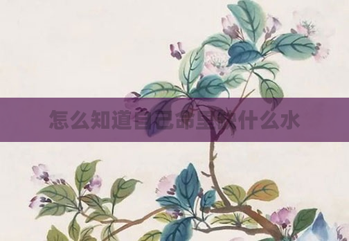怎么知道自己命里缺什么水