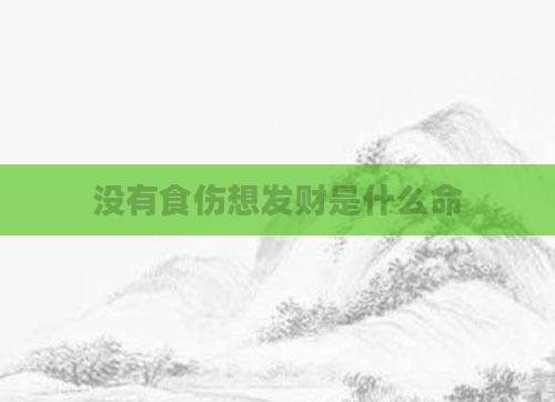 没有食伤想发财是什么命