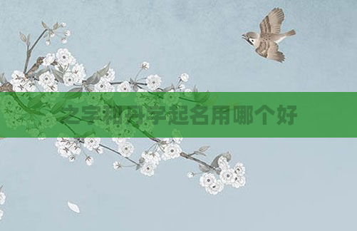 之字和丹字起名用哪个好
