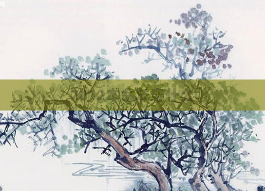 2012本命年穿什么