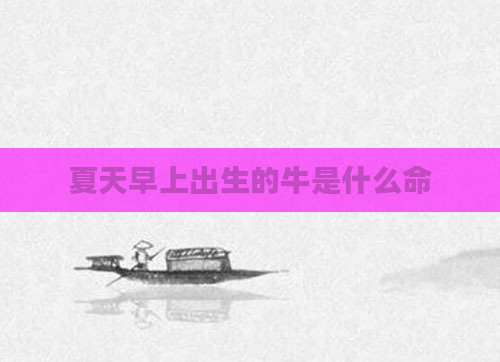夏天早上出生的牛是什么命