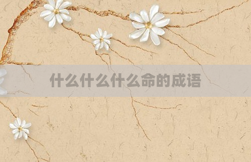 什么什么什么命的成语