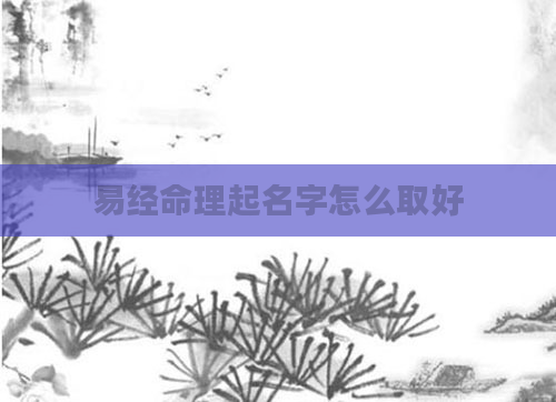 易经命理起名字怎么取好