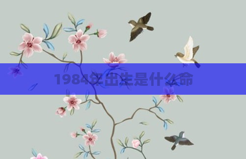 1984年出生是什么命