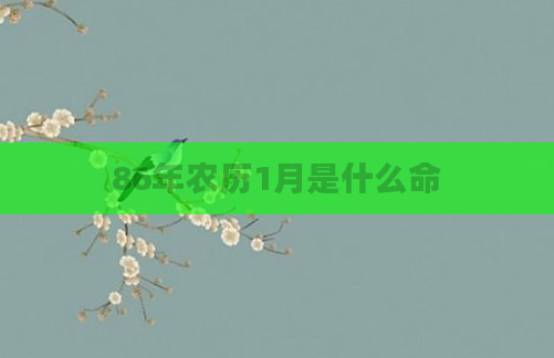86年农历1月是什么命