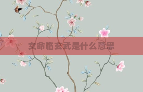 女命临玄武是什么意思