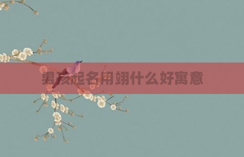 男孩起名用翊什么好寓意