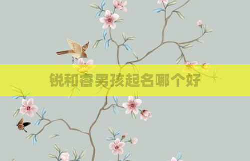 锐和睿男孩起名哪个好