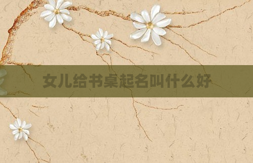 女儿给书桌起名叫什么好