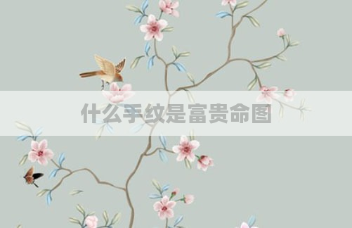 什么手纹是富贵命图