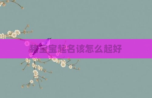 猪宝宝起名该怎么起好