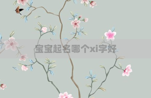 宝宝起名哪个xi字好