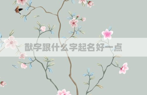 猷字跟什么字起名好一点