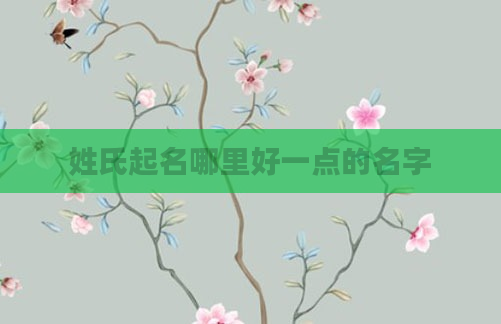 姓氏起名哪里好一点的名字