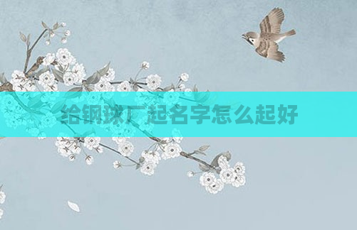 给钢球厂起名字怎么起好
