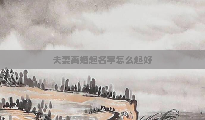 夫妻离婚起名字怎么起好