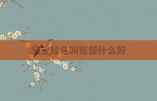 宝宝起名叫张楚什么好