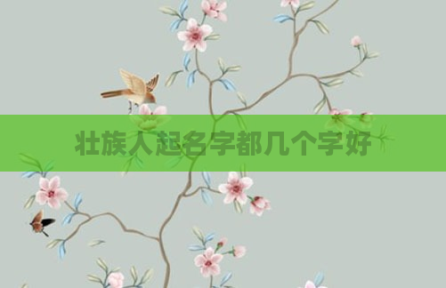 壮族人起名字都几个字好