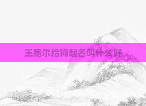 王嘉尔给狗起名叫什么好