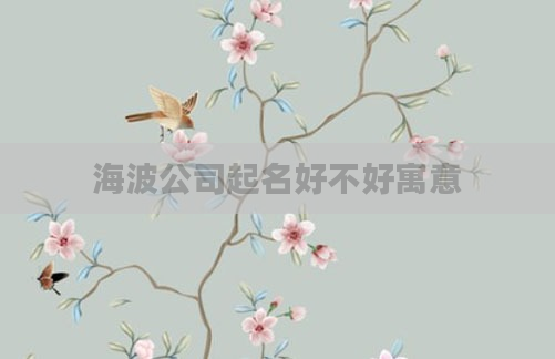 海波公司起名好不好寓意