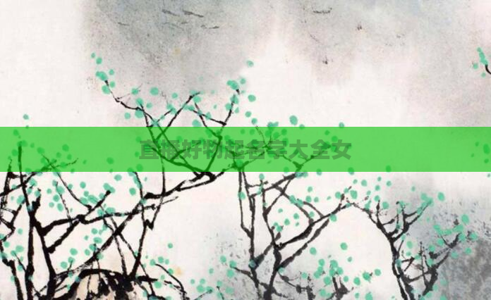 直播好物起名字大全女