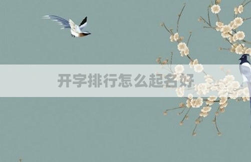 开字排行怎么起名好