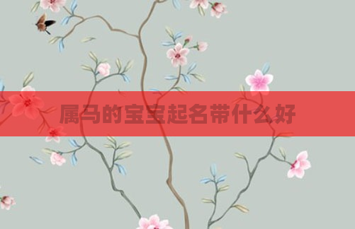 属马的宝宝起名带什么好