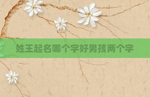 姓王起名哪个字好男孩两个字