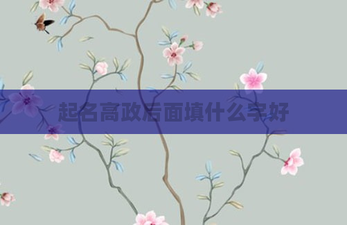起名高政后面填什么字好