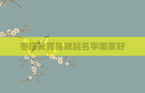 枣庄教育品牌起名字哪家好