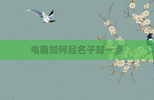 电商如何起名子好一点