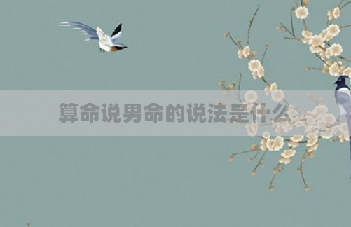 算命说男命的说法是什么